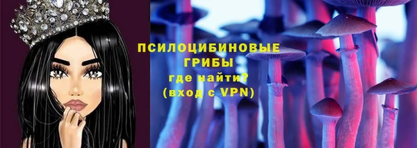 твердый Балахна