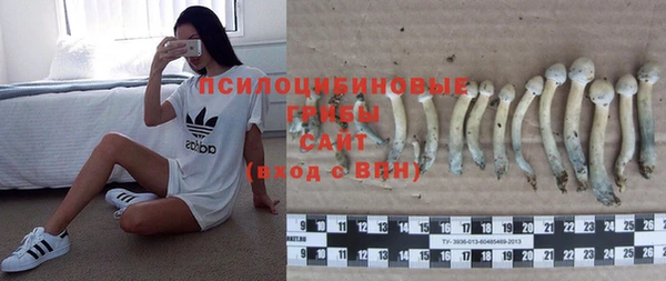 твердый Балахна