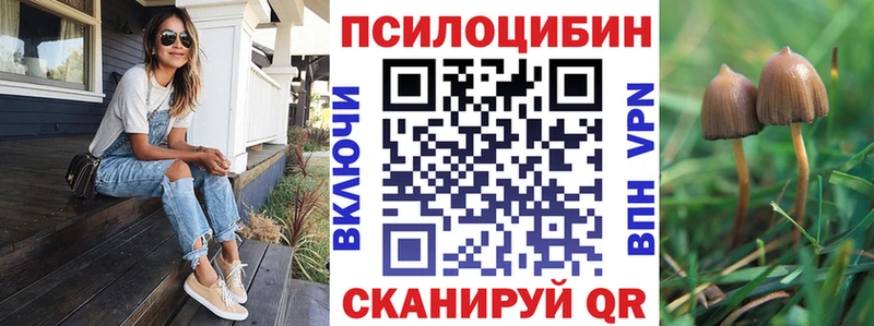 KRAKEN зеркало  Вязники  Псилоцибиновые грибы мухоморы 